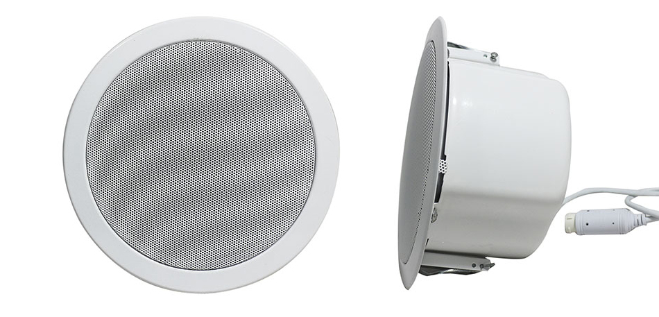 SIP Network Horn speaker MultiRu CS